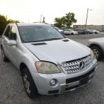 Auctions image thumbnails