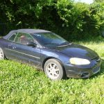 Auctions image thumbnails