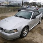 Auctions image thumbnails