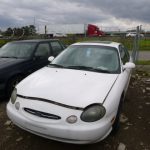 Auctions image thumbnails