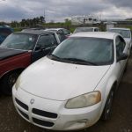 Auctions image thumbnails