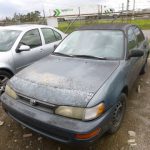 Auctions image thumbnails