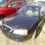 Auctions image thumbnails