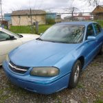 Auctions image thumbnails