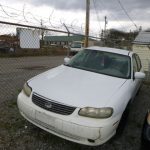 Auctions image thumbnails