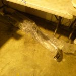 Auctions image thumbnails