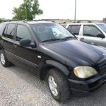 Auctions image thumbnails