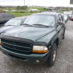 Auctions image thumbnails