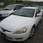 Auctions image thumbnails