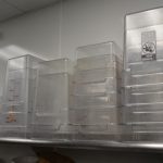 Auctions image thumbnails