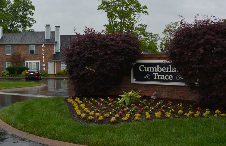 Auctions image thumbnails