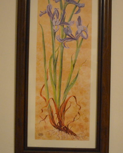 Auctions image thumbnails