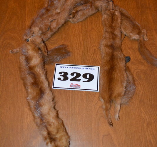 Auctions image thumbnails