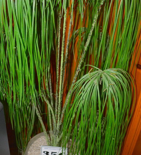 Auctions image thumbnails