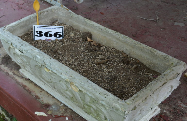 Auctions image thumbnails