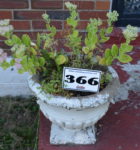 Auctions image thumbnails