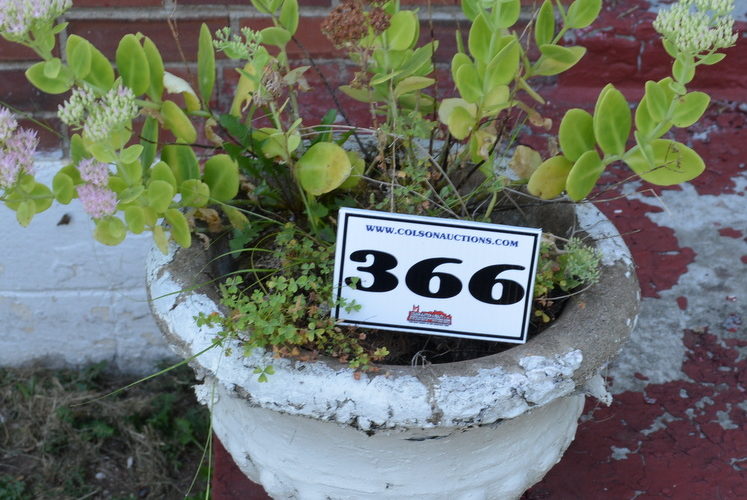 Auctions image thumbnails