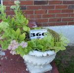 Auctions image thumbnails