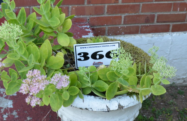 Auctions image thumbnails