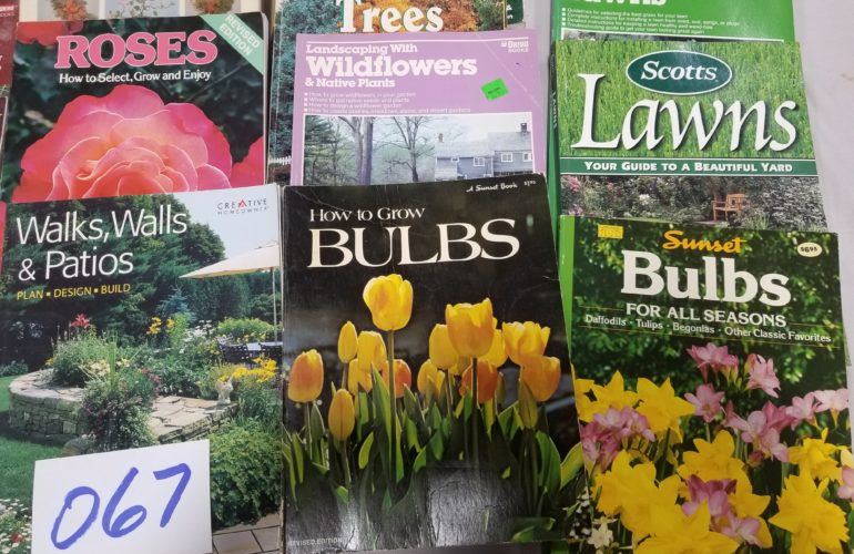 Auctions image thumbnails