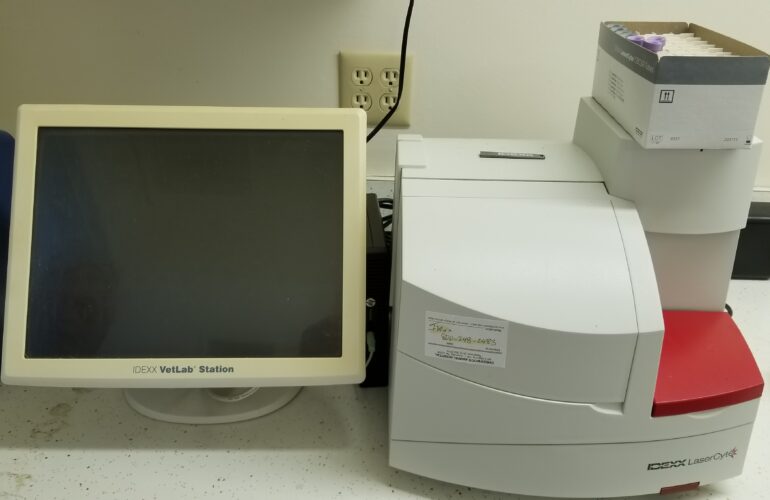 Auctions image thumbnails