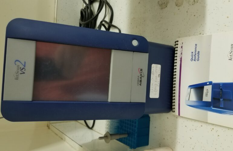 Auctions image thumbnails