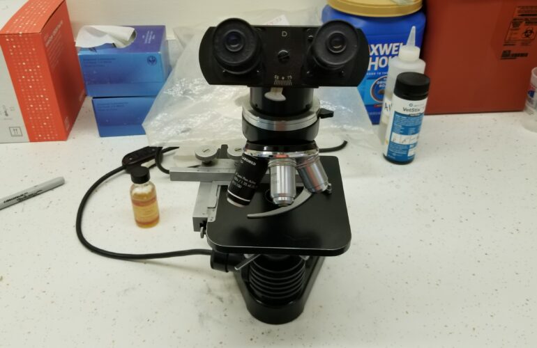 Auctions image thumbnails