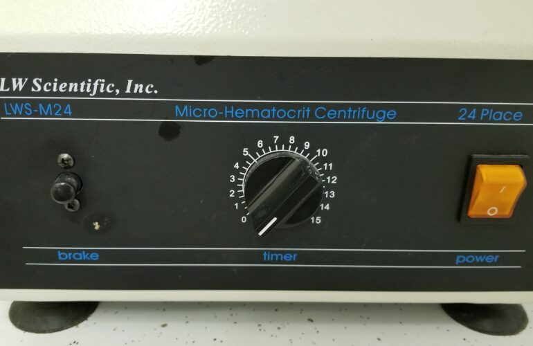 Auctions image thumbnails