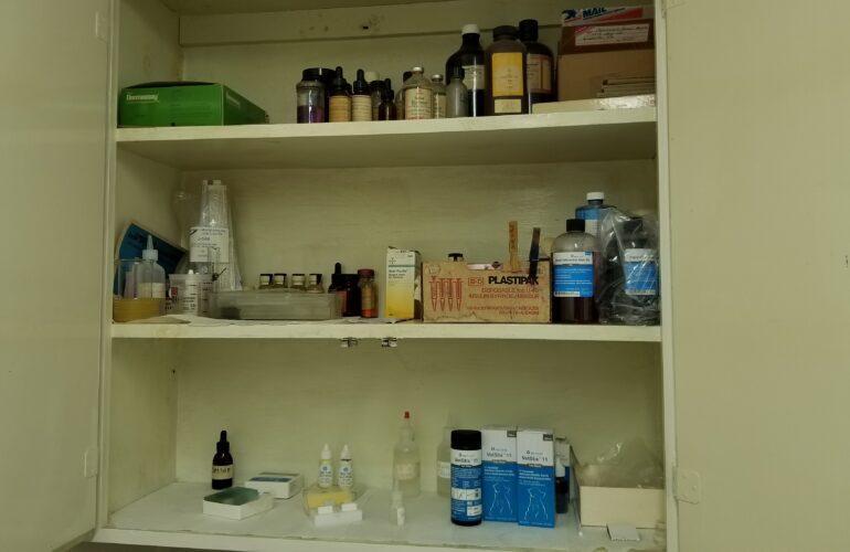 Auctions image thumbnails