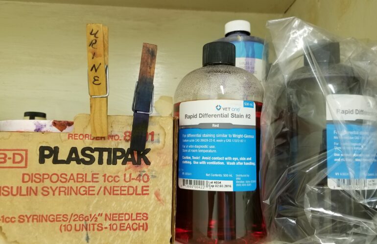 Auctions image thumbnails