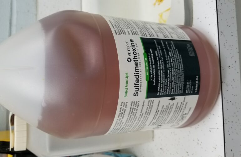 Auctions image thumbnails