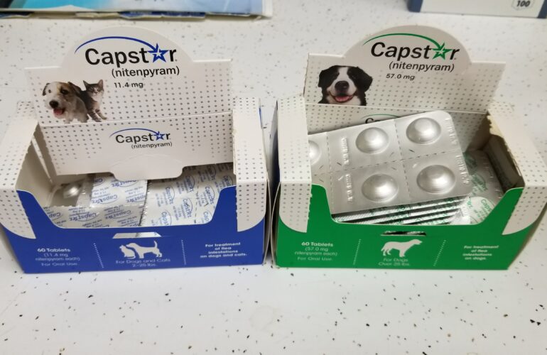 Auctions image thumbnails