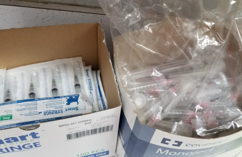 Auctions image thumbnails