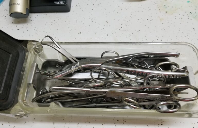 Auctions image thumbnails