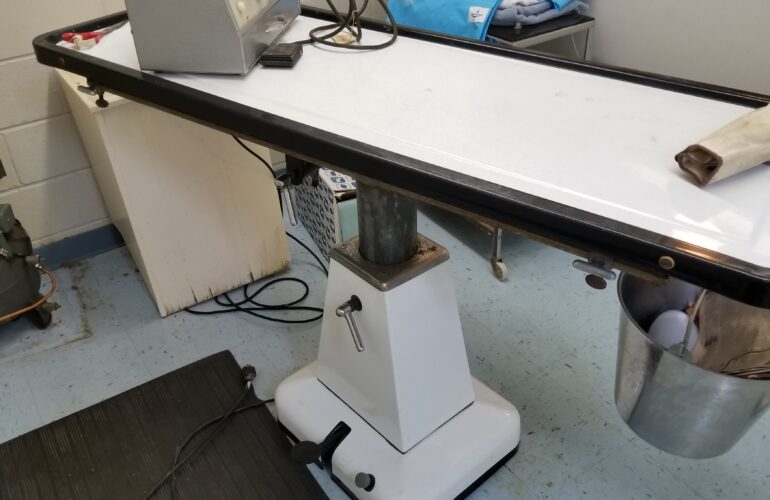 Auctions image thumbnails