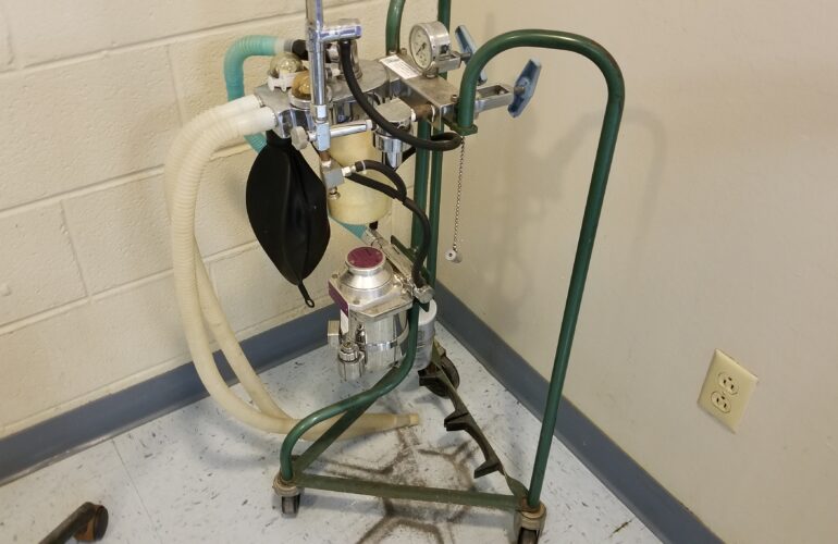 Auctions image thumbnails