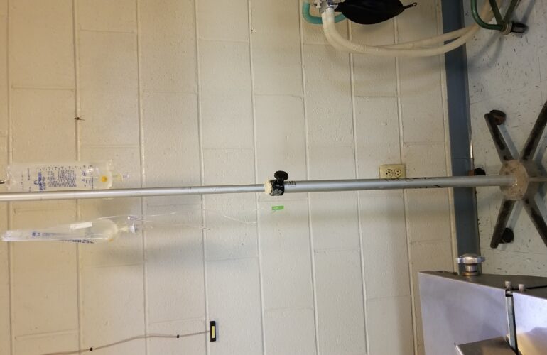 Auctions image thumbnails