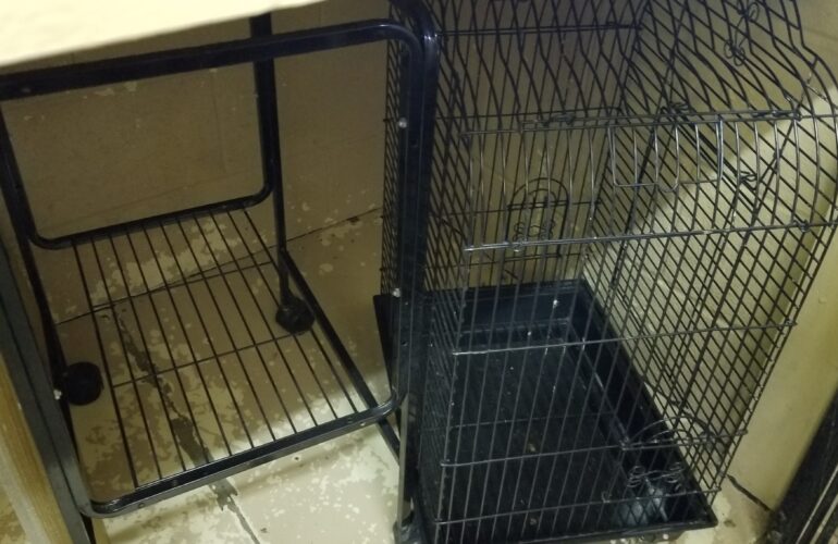 Auctions image thumbnails