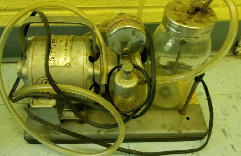 Auctions image thumbnails