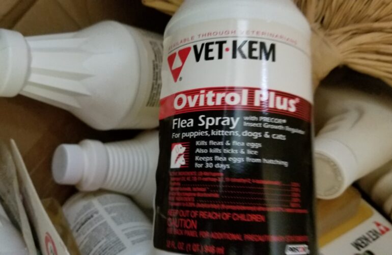 Auctions image thumbnails