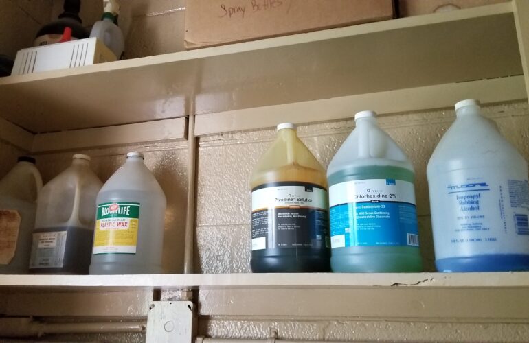 Auctions image thumbnails