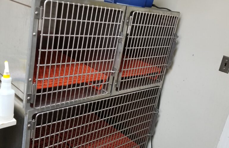 Auctions image thumbnails