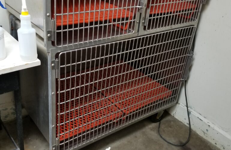 Auctions image thumbnails