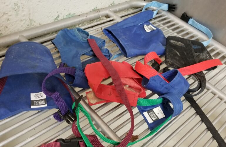 Auctions image thumbnails