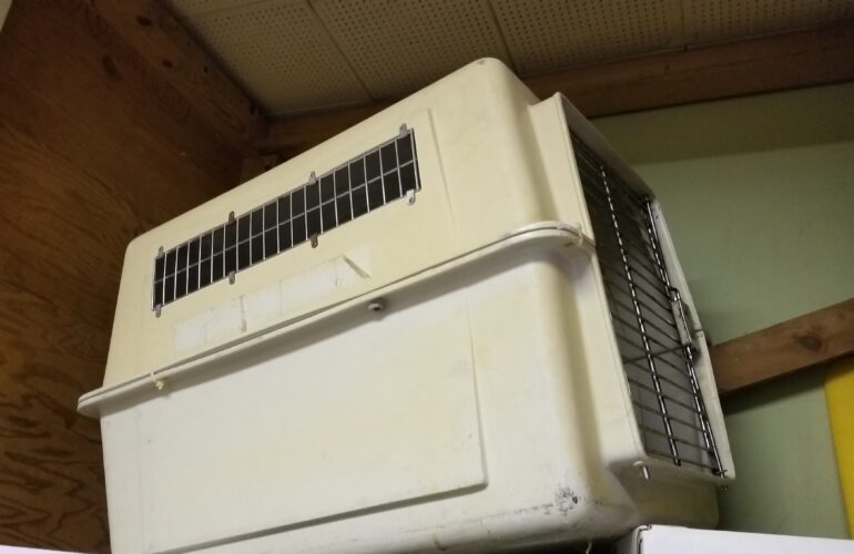 Auctions image thumbnails