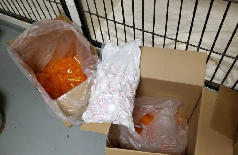 Auctions image thumbnails