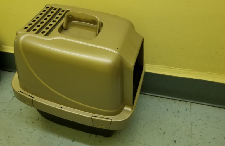 Auctions image thumbnails