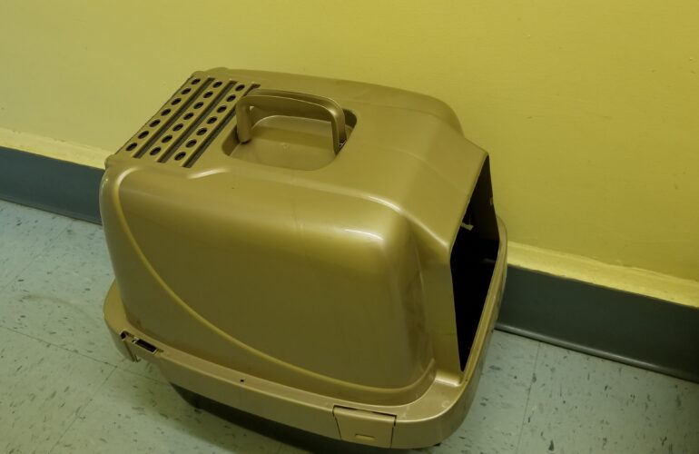 Auctions image thumbnails