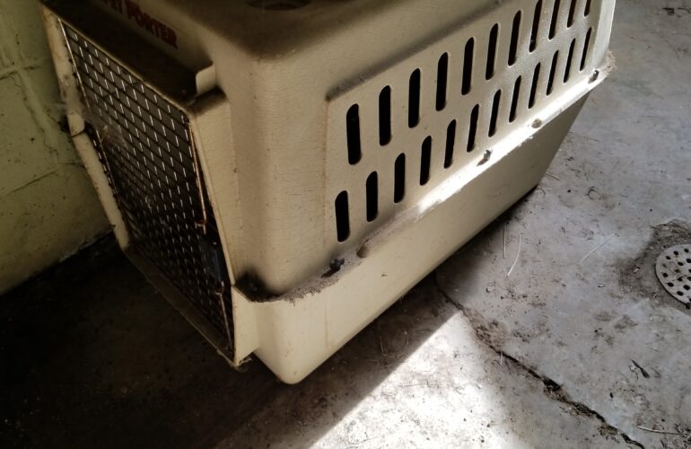 Auctions image thumbnails