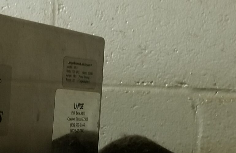 Auctions image thumbnails